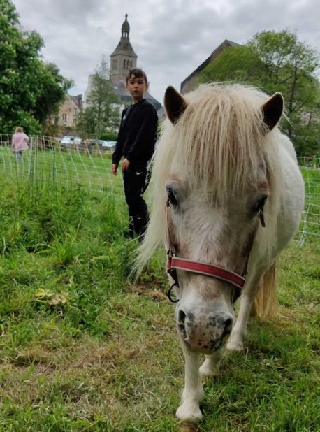 micro-ferme urbaine